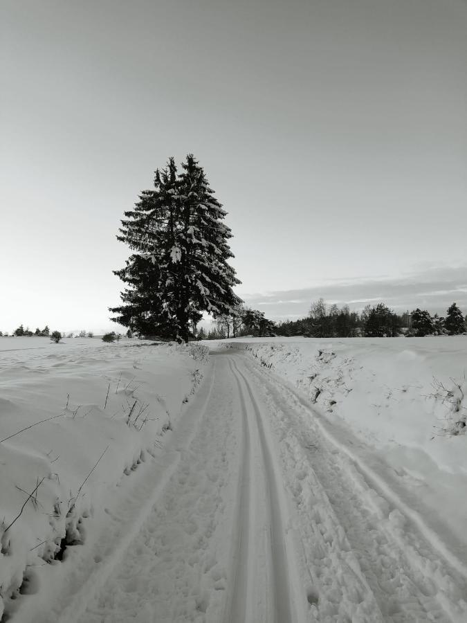 Matějovec 109&Ubytování Na statku Český Rudolec Esterno foto