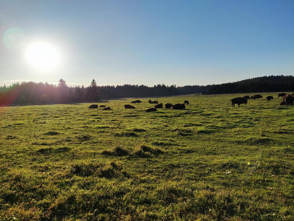 Matějovec 109&Ubytování Na statku Český Rudolec Esterno foto